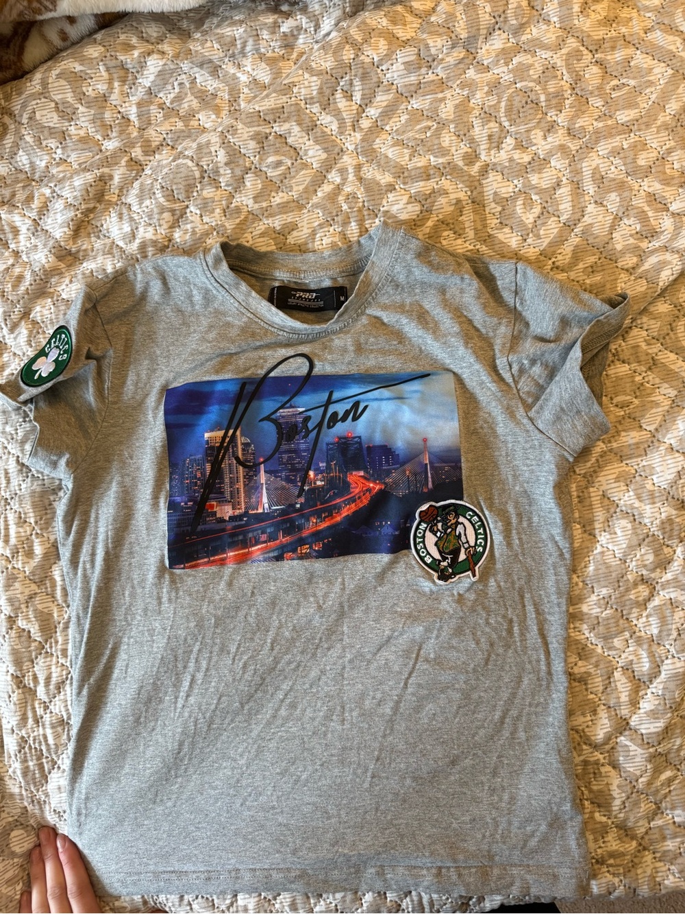 Boston Graphic Crewneck T-Shirt - Grey